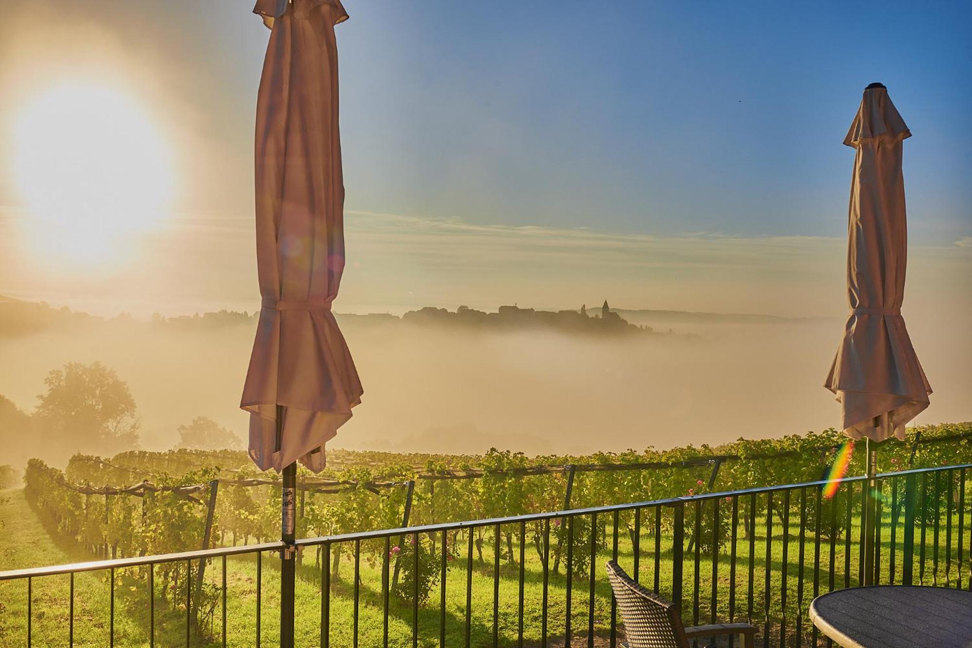 Winzerzimmer Scharl Sankt Anna am Aigen Экстерьер фото